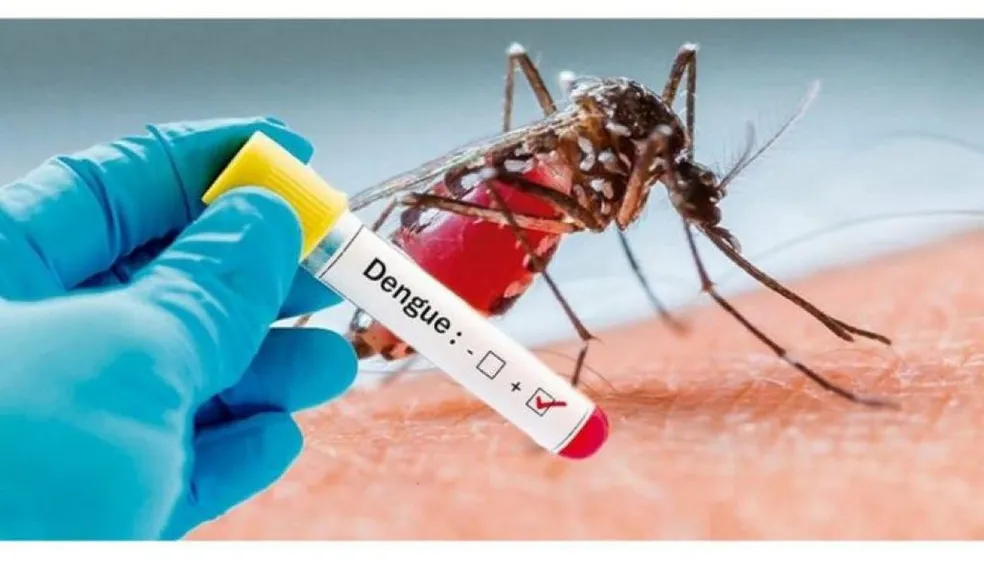 Paraíba: Morre a terceira vítima de dengue. Dois óbitos estão em investigação