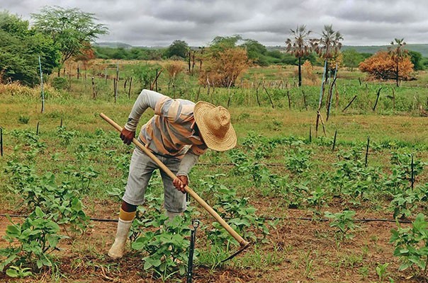 Sousa: Mais de 1.300 agricultores recebem o Seguro-Safra. Cerca de R$ 1,5 mi são injetados na economia local