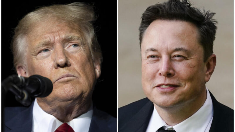 Musk vai sorteiar U$ 1 mi por dia para eleitores indecisos votarem em Donald Trump