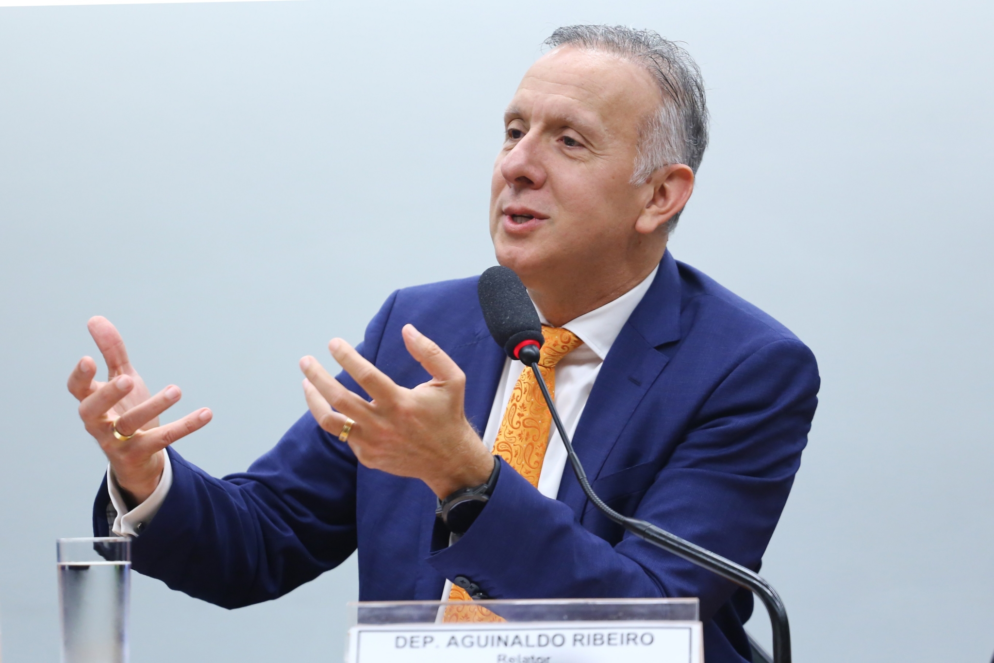 Aguinaldo ribeiro