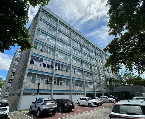 Facultativo