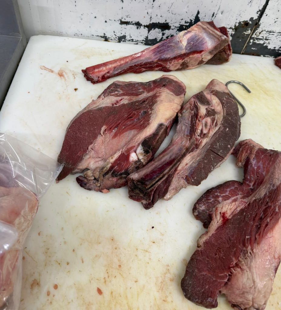 Carne podre